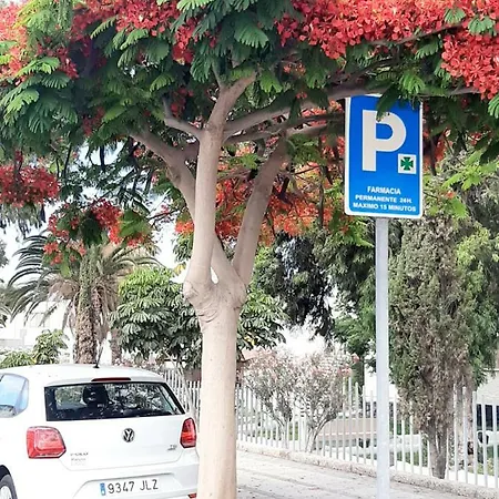 Dias Magicos En Apartamento