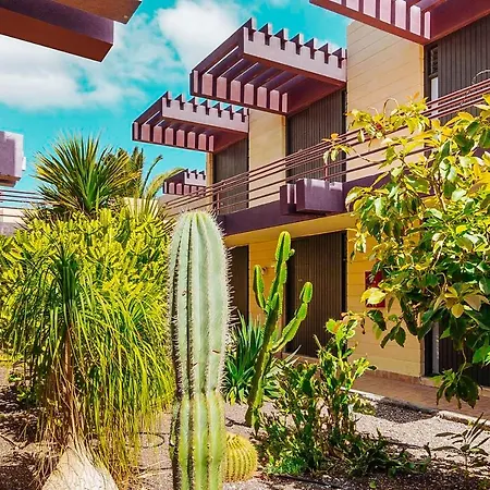 Dias Magicos En Apartamento